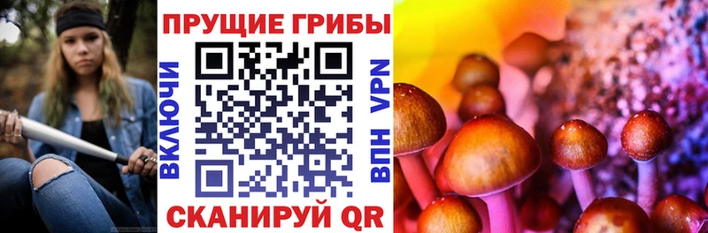купить цена Гремячинск Галлюциногенные грибы мухоморы